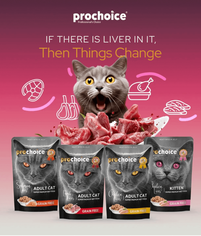 Prochoice - Adult Cat Bites With Chicken & Liver In Jelly 85g