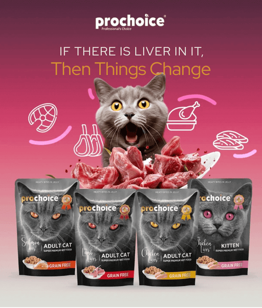Prochoice - Adult Cat Bites With Chicken & Liver In Jelly 85g