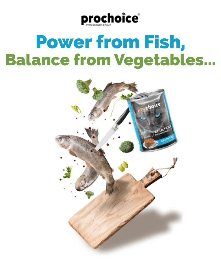 Prochoice - Adult Cat Premium Pate With Fish & Vegetables 400g