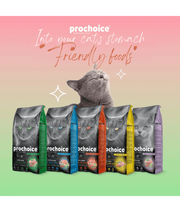 Prochoice - Pro 38 Lamb & Rice Hypoallergenic For Kittens 2kg