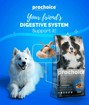 Prochoice - Proderma Lamb & Rice 18kg