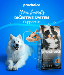 Prochoice - Proderma Lamb & Rice 18kg