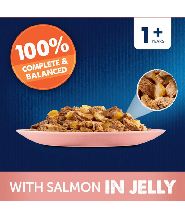 Purina - Felix As Good As It Looks With Salmon In Jelly Wet Cat Food 85g