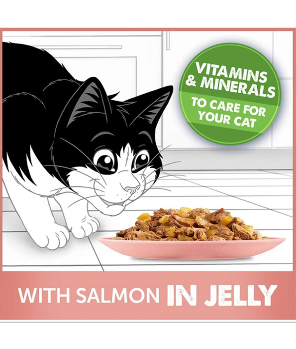 Purina - Felix As Good As It Looks With Salmon In Jelly Wet Cat Food 85g