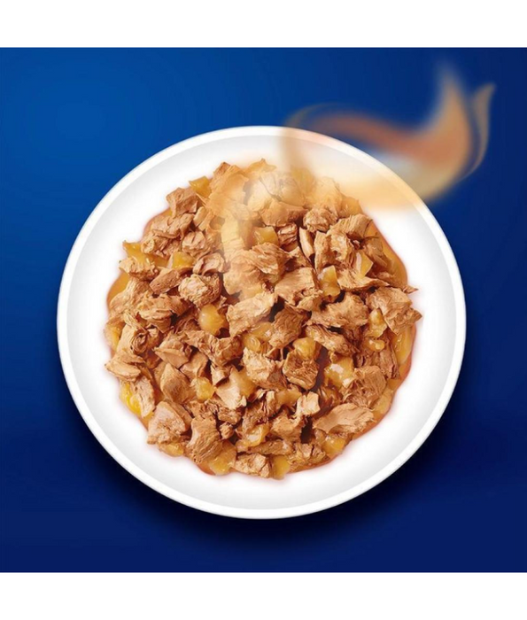 Purina - Felix As Good As It Looks With Salmon In Jelly Wet Cat Food 85g