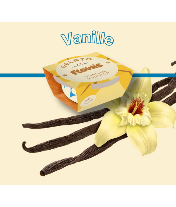 Gosbi - Flowis Gelato, Vanilla Flavor, Frozen Dog Treat for All Dogs - 40g