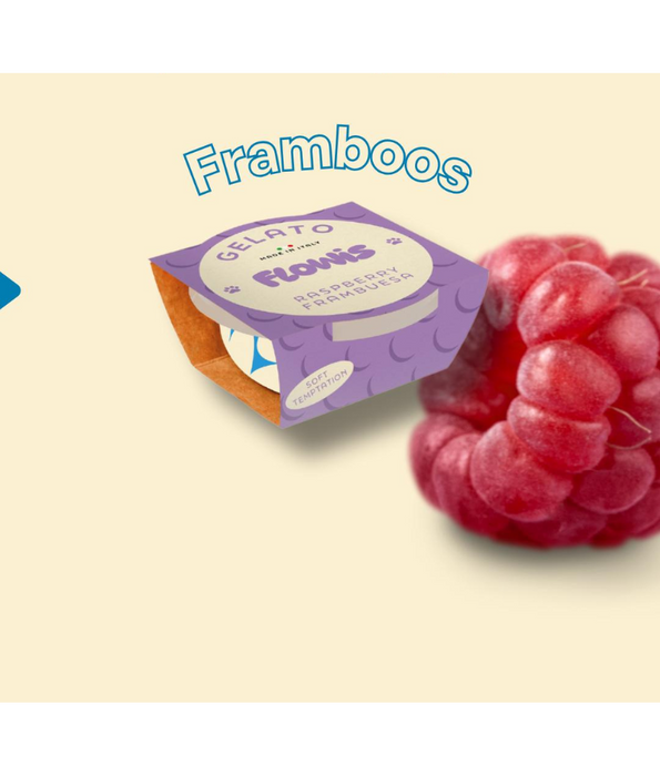 Gosbi - Flowis Gelato, Raspberry Flavor, Frozen Dog Treat for All Dogs - 40g