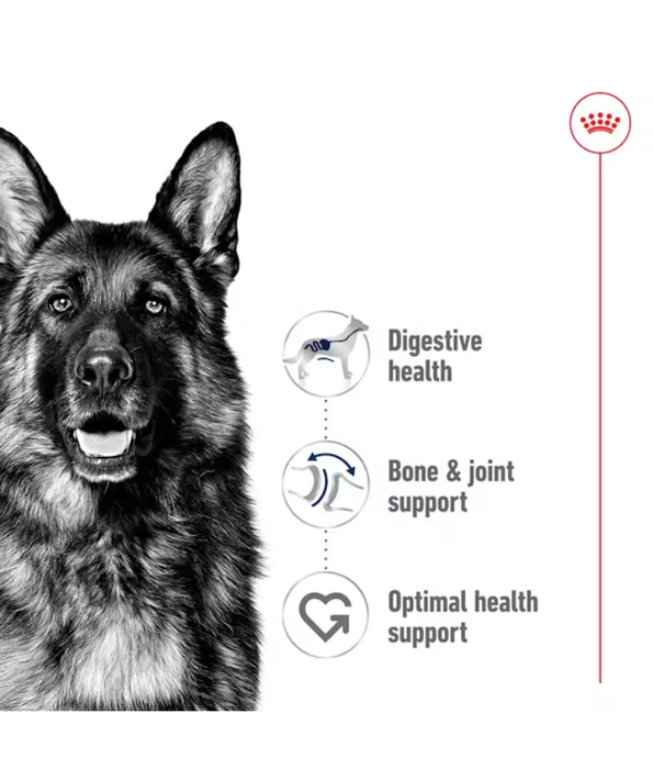 Royal Canin - Maxi Adult Wet Dog Food for Large Dogs, In Loaf - 410g