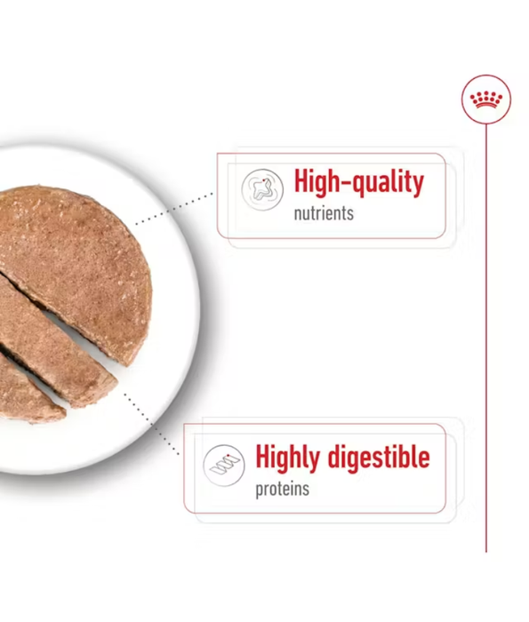 Royal Canin - Maxi Adult Wet Dog Food for Large Dogs, In Loaf - 410g