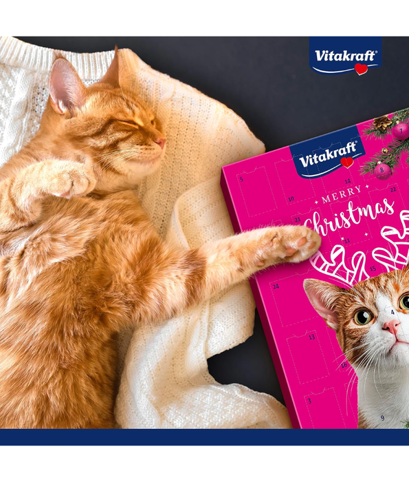 Vitakraft - Advent Calendar for Cats 2025, Premium Christmas Cat Treat Calendar - 24 Daily Snacks