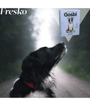 Gosbi - Fresko, Grain-Free Fish and Fruits Adult Complete Wet Dog Food – Hypoallergenic Hair and Skin Support, All Natural 375g