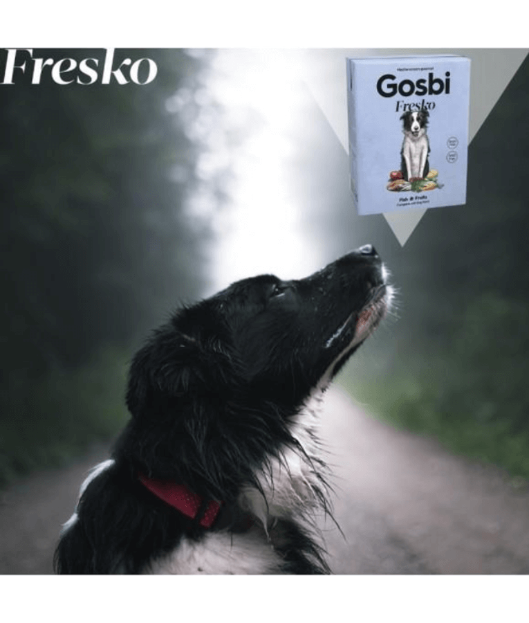 Gosbi - Fresko, Grain-Free Fish and Fruits Adult Complete Wet Dog Food – Hypoallergenic Hair and Skin Support, All Natural 375g