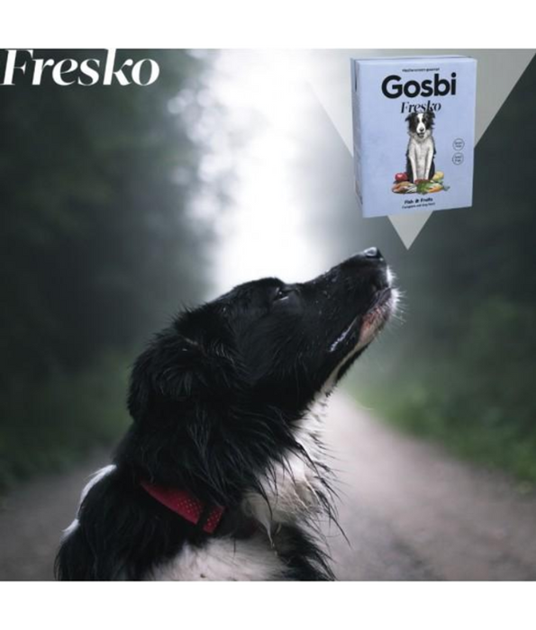 Gosbi - Fresko, Grain-Free Fish and Fruits Adult Complete Wet Dog Food – Hypoallergenic Hair and Skin Support, All Natural 375g