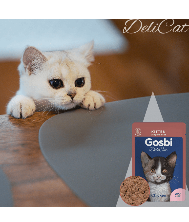Gosbi - DeliCat, Chicken Kitten Complete Wet Cat Food – Loaf Pâté, Grain-Free, Energy-Rich – 70g