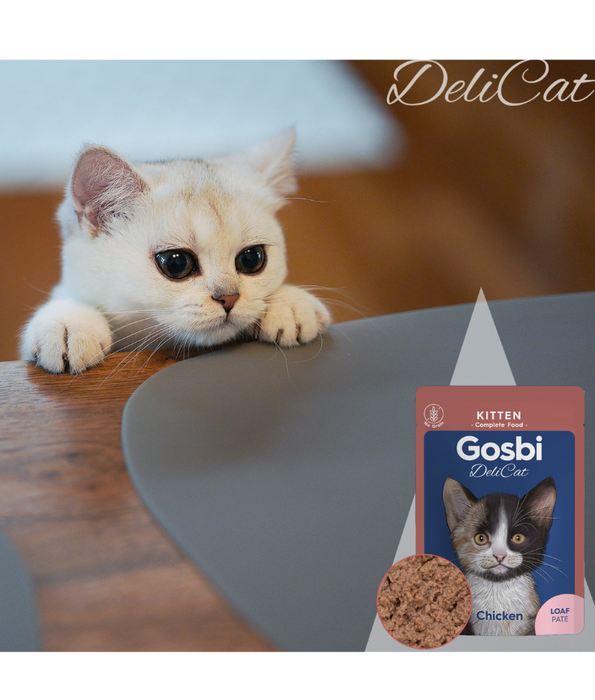Gosbi - DeliCat, Chicken Kitten Complete Wet Cat Food – Loaf Pâté, Grain-Free, Energy-Rich – 70g