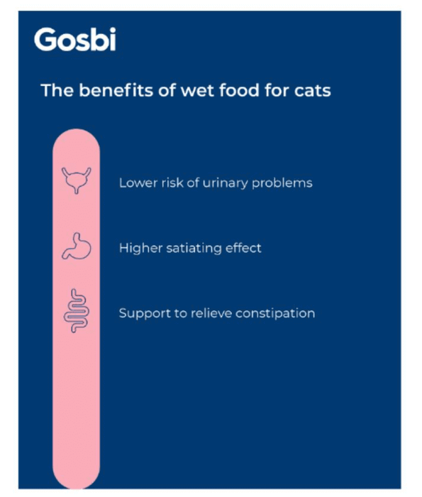 Gosbi - DeliCat, Chicken & Turkey, Grain-Free, Prebiotics, Taurine, Adult Wet Cat Food - 70g