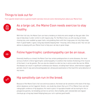 Things to look out for Maine Coon cats, health tips, and exercise needs.