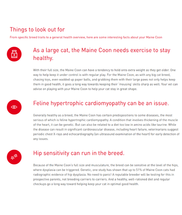 Royal Canin - Maine Coon Adult Dry Cat Food - 2kg