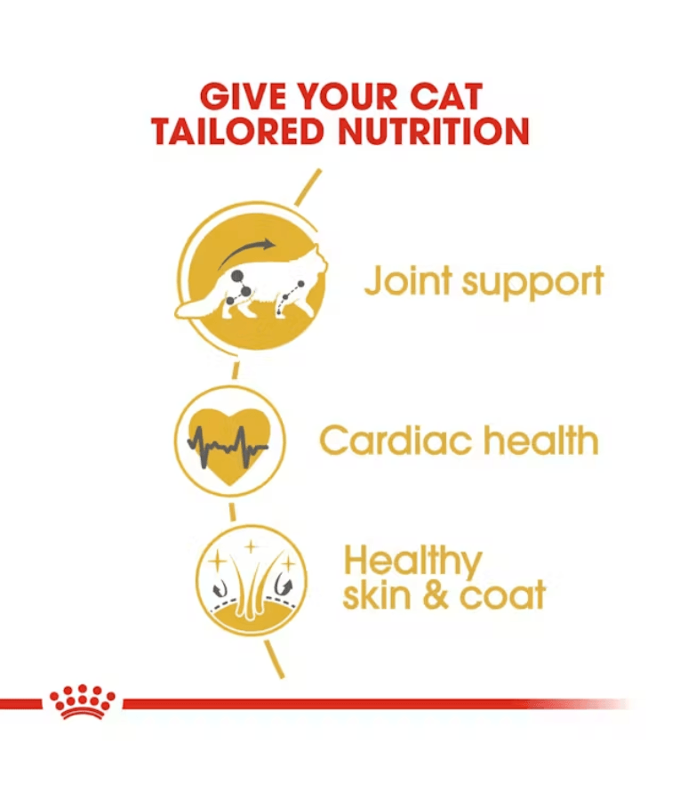 Royal Canin - Maine Coon Adult Dry Cat Food - 2kg features tailored nutrition with joint support, cardiac health, and healthy skin & coat.