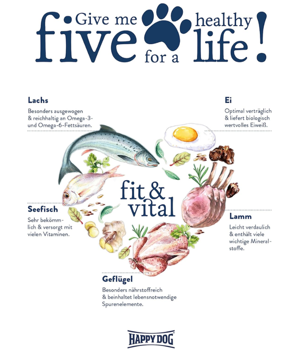 Happy Dog - Mini Adult 1kg-4kg