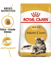Royal Canin - Maine Coon Adult Dry Cat Food - 2kg packaging with tailored kibble and joint support features.