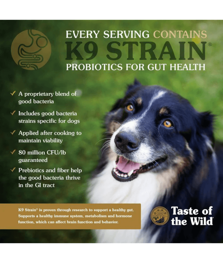 Taste Of The Wild - Pine Forest Formula - Venison & Legumes - Grain Free Dry Dog Food - 12.2kg packaging with K9 Strain probiotics for gut health.