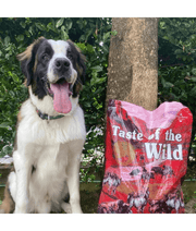 Taste of the Wild - Southwest Canyon - Wild Boar, Beef & Lamb - Grain Free Dry Dog Food - 12.2kg with dog in garden