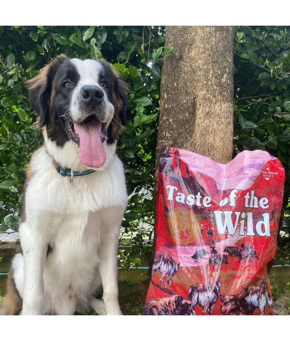 Taste of the Wild - Southwest Canyon – Wild Boar, Beef & Lamb - Grain Free Dry Dog Food - 12.2kg