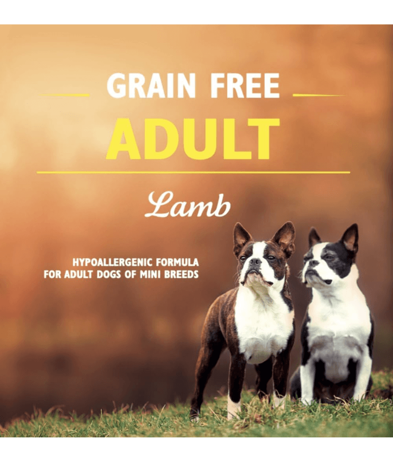 Brit Care - Mini Grain-Free Lamb, Hypoallergenic, Adult, Mini Breed, Dry Dog Food - 2kg
