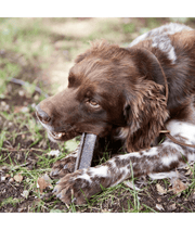 Dog enjoying Virbac - Veggiedent FRESH Dental Chews, Plant-Based Formula, Dental & Digestive Support S- M.