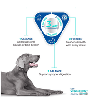 Virbac - Veggiedent FRESH Dental Chews, Plant-Based Formula, Dental & Digestive Support S- M 3-way performance infographic.