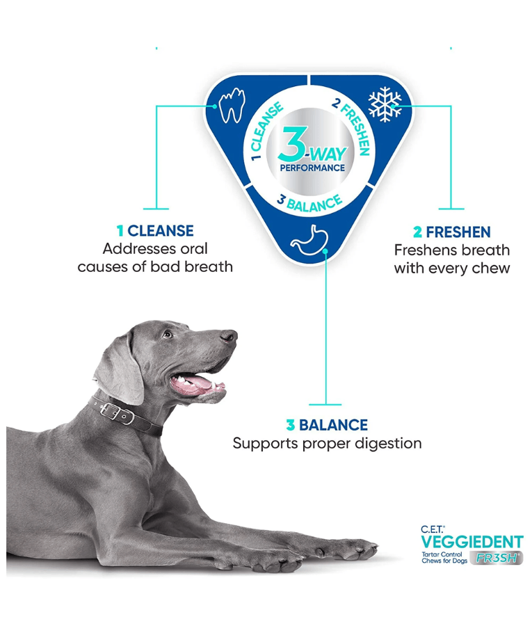 Virbac - Veggiedent FRESH Dental Chews, Plant-Based Formula, Dental & Digestive Support S- M 3-way performance infographic.