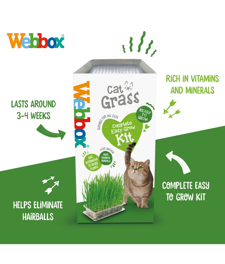Webbox - Cat Grass - 120g