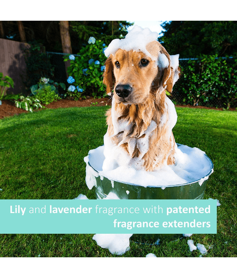 Synergy Labs - Veterinary Formula Solutions, Soothing and Deodorizing Shampoo For Cats & Dogs - 503ml