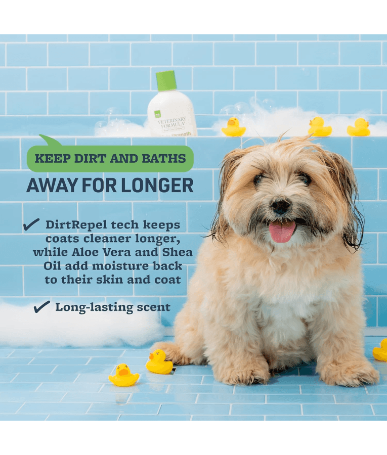 Synergy Labs - Veterinary Formula Solutions, Triple Strength Dirty Dog Concentrated Shampoo - 503ml