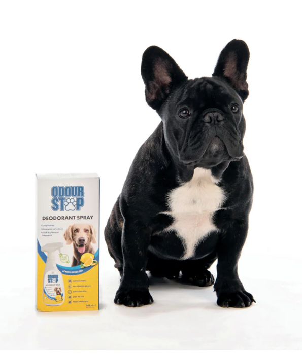 M-Pets - Odour STOP Deodorant Spray, Lemon Green Tea Scented - 500 ml