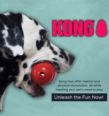 Dog clearance toy shop