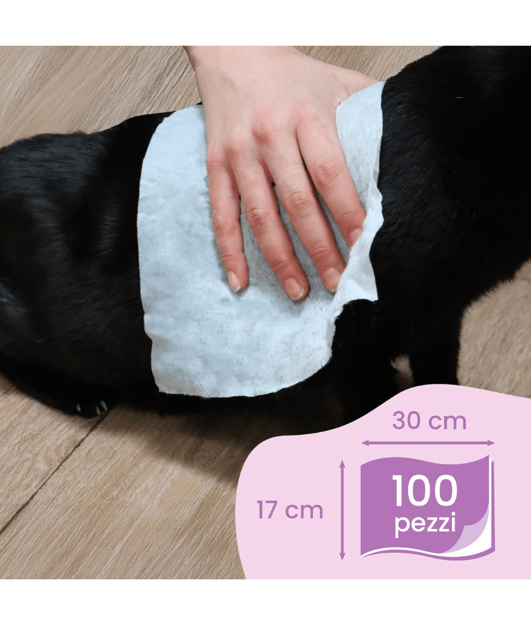 Camon - Salviette Cleansing Pet Wipes Talco – Alcohol & Paraben Free - 40 Sheets -100 Sheets