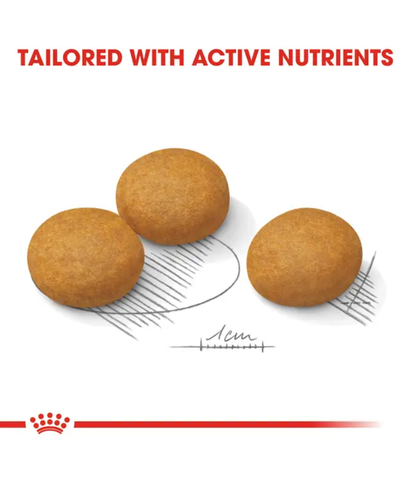 Royal Canin - Dermacomfort Maxi Dry Dog Food – Skin & Coat Care for Large Dogs - 12 kg