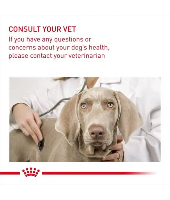 Royal Canin - Dermacomfort Maxi Dry Dog Food – Skin & Coat Care for Large Dogs - 12 kg