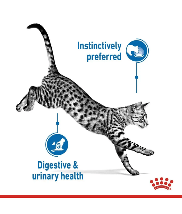Royal Canin - Indoor Sterilised in Gravy Wet Cat Food for Indoor Sterilised Cats – 85g
