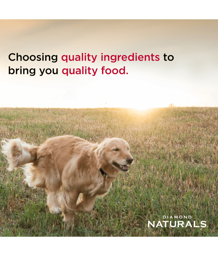 Diamond Naturals - Grain Free, Wild Caught Whitefish and Sweet Potato, All Life Stages Dry Dog Food - 2.27 Kg - 12.7 Kg