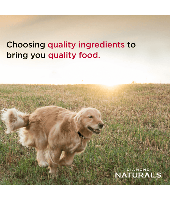 Diamond Naturals - Grain Free, Wild Caught Whitefish and Sweet Potato, All Life Stages Dry Dog Food - 12.7 Kg