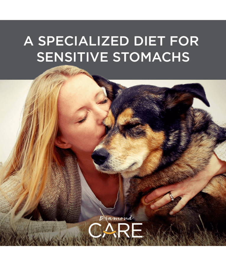 Diamond Care - Sensitive Stomach Formula, Adult All Breed Sizes Dry Dog Food, Digestive Support – 3.63 kg