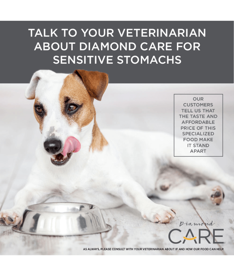 Diamond Care - Sensitive Stomach Formula, Adult All Breed Sizes Dry Dog Food, Digestive Support – 3.63 kg