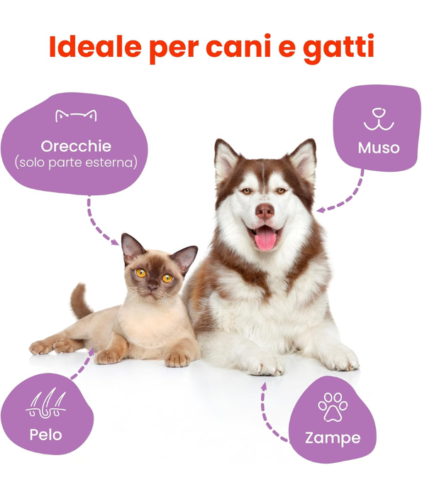 Camon - Salviette Cleansing Pet Wipes Talco – Alcohol & Paraben Free - 40 Sheets -100 Sheets