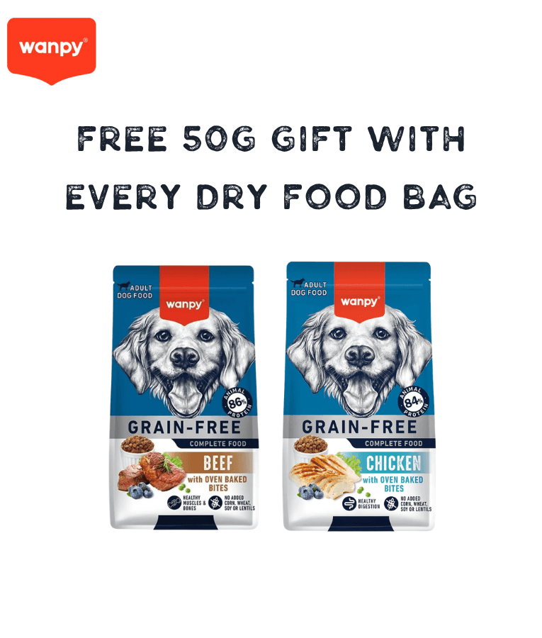 Wanpy Dog Dry Food 50G