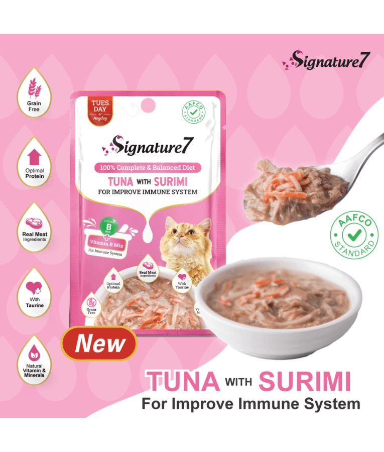 Signature7 Variaty Pack With Different Nutritional Benefits 14x50g