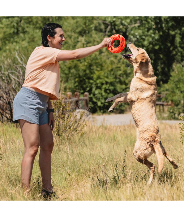 Chuckit! Air Fetch Wheel Dog Toy