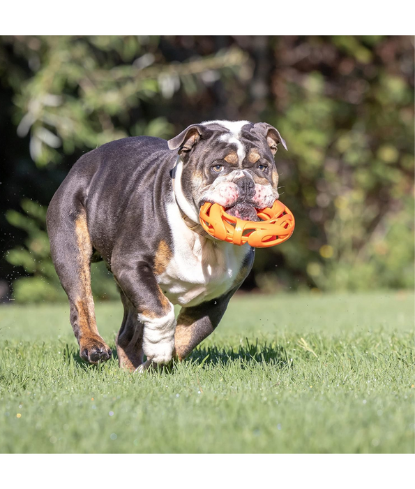 Chuckit! Air Fetch Wheel Dog Toy